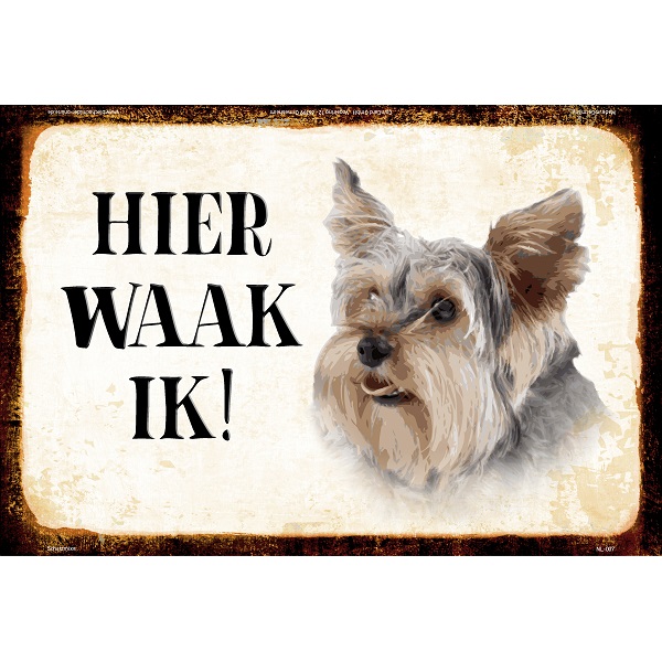 Hier Waak Ik - Yorkshire Terrier
