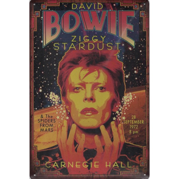 David Bowie Ziggy Stardust 1972 Retroborden 9563