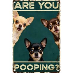 Are You Pooping? Chihuahua