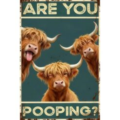 Are You Pooping? Schotse Hooglander