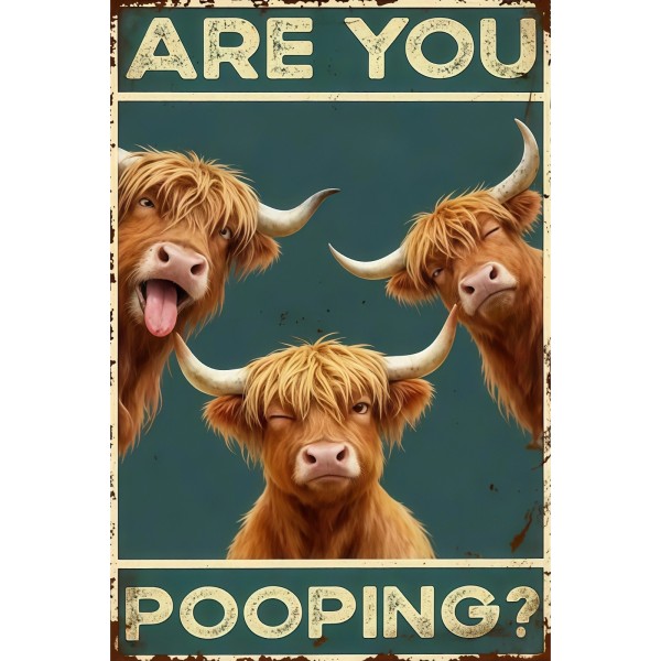 Are You Pooping? Schotse Hooglander
