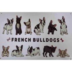 French Bull Dogs